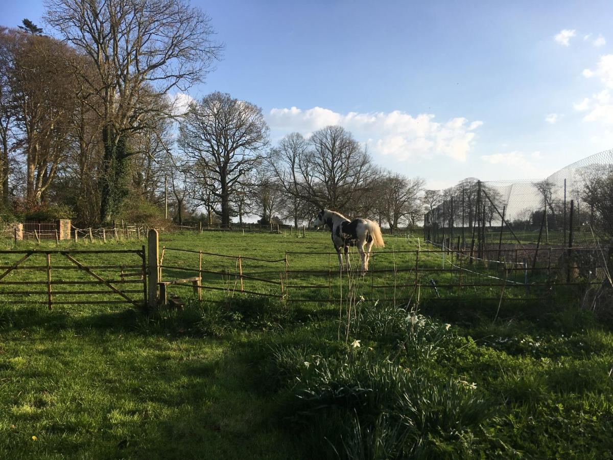 O'Harabrook Country House バリマネー エクステリア 写真