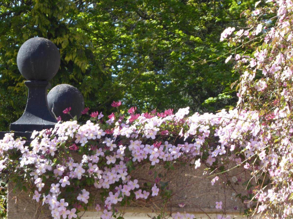 O'Harabrook Country House バリマネー エクステリア 写真