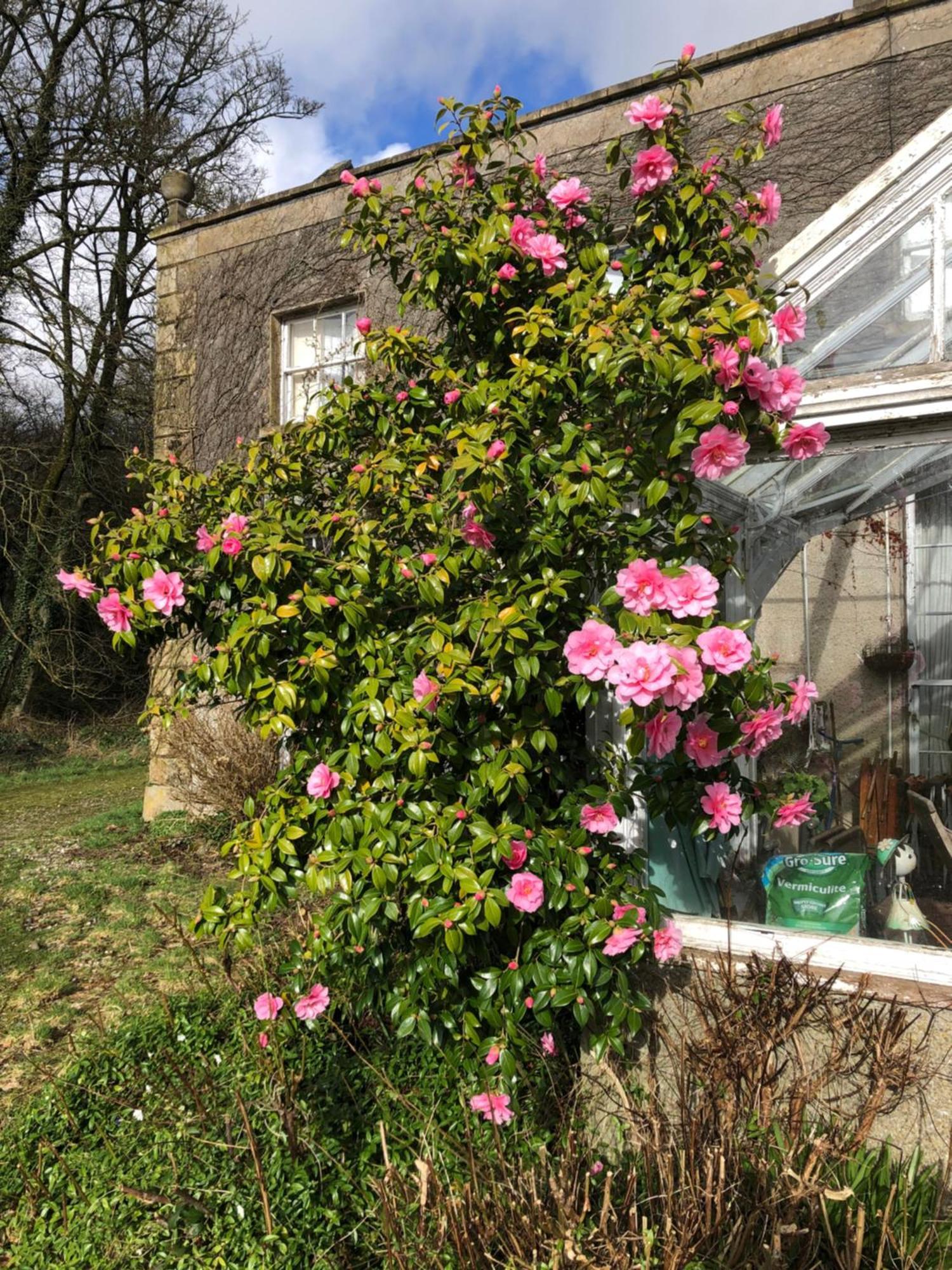 O'Harabrook Country House バリマネー エクステリア 写真