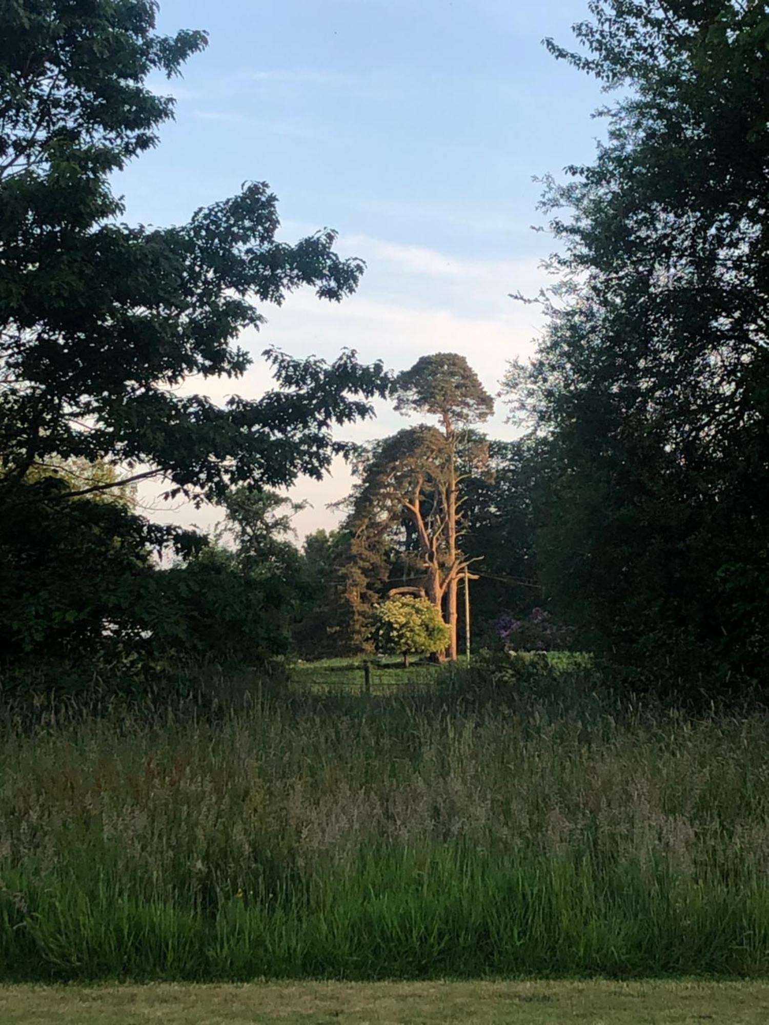O'Harabrook Country House バリマネー エクステリア 写真